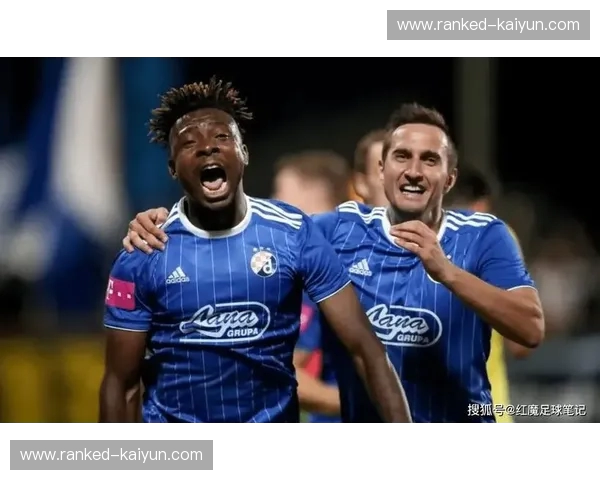 布加勒vs卢多戈:一场在绿茵场上燃烧的激情与荣耀之战